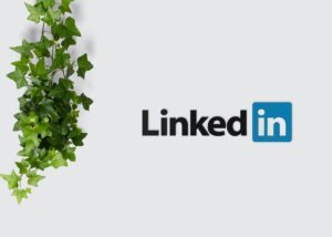LinkedIn, logo, how to make your company stand out on LinkedIn, social media marketing, tips and tricks